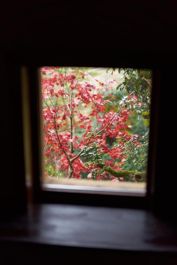 Oldbutnew 蔵 Appartement Hara  Buitenkant foto
