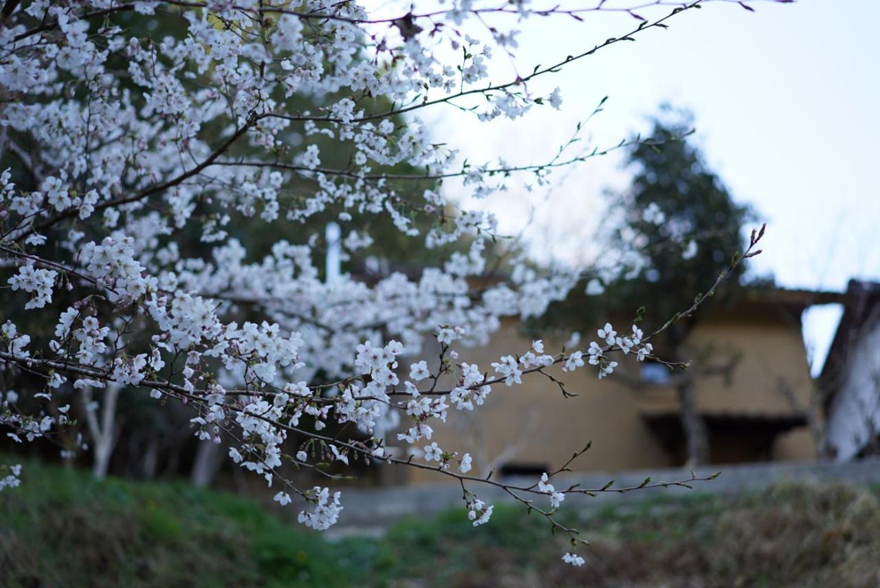 Oldbutnew 蔵 Appartement Hara  Buitenkant foto